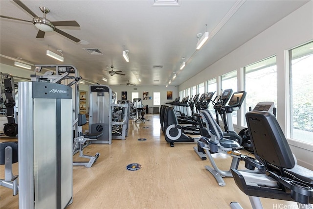 exercise room with light hardwood / wood-style flooring and ceiling fan