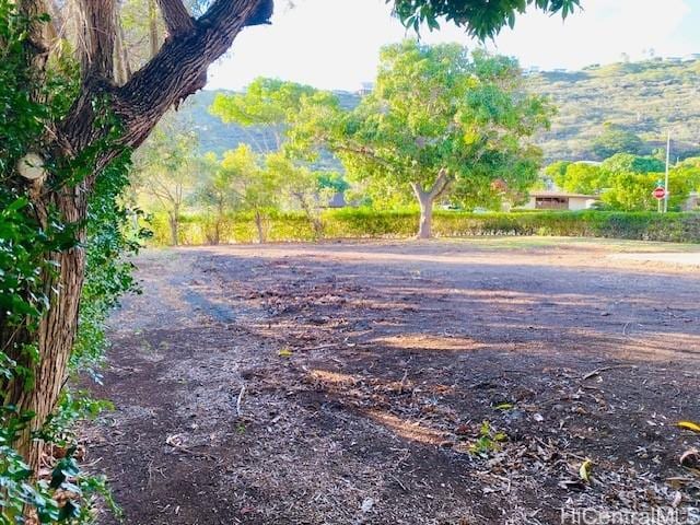 1469 Oili Loop, Honolulu HI, 96816 land for sale