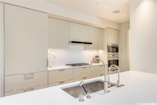 kitchen featuring sink, ventilation hood, and stainless steel appliances