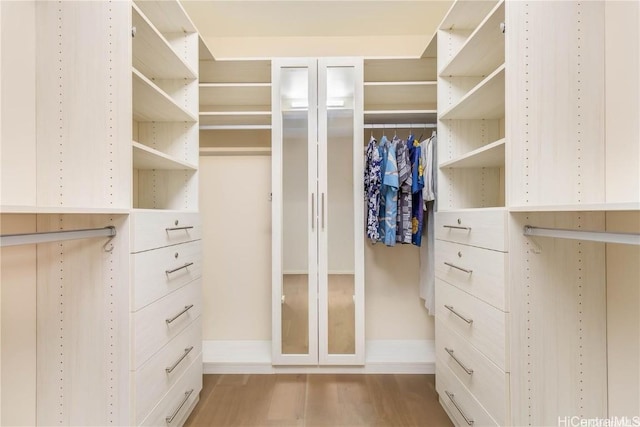 spacious closet with hardwood / wood-style floors