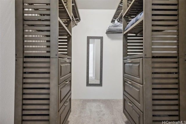 walk in closet featuring light colored carpet