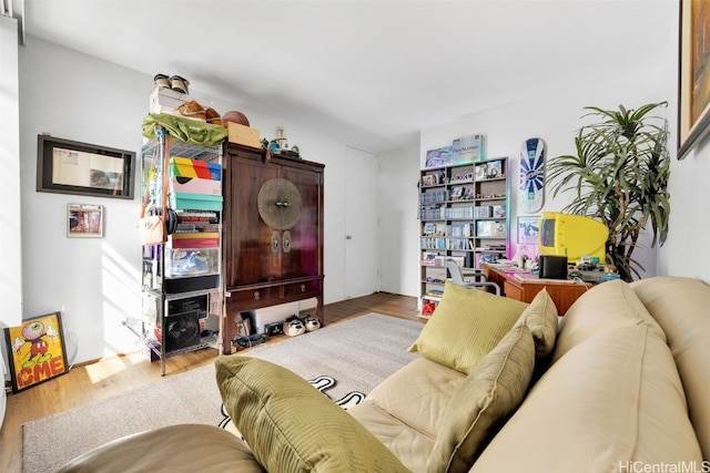 living room featuring hardwood / wood-style flooring