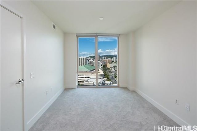 carpeted spare room with a wall of windows