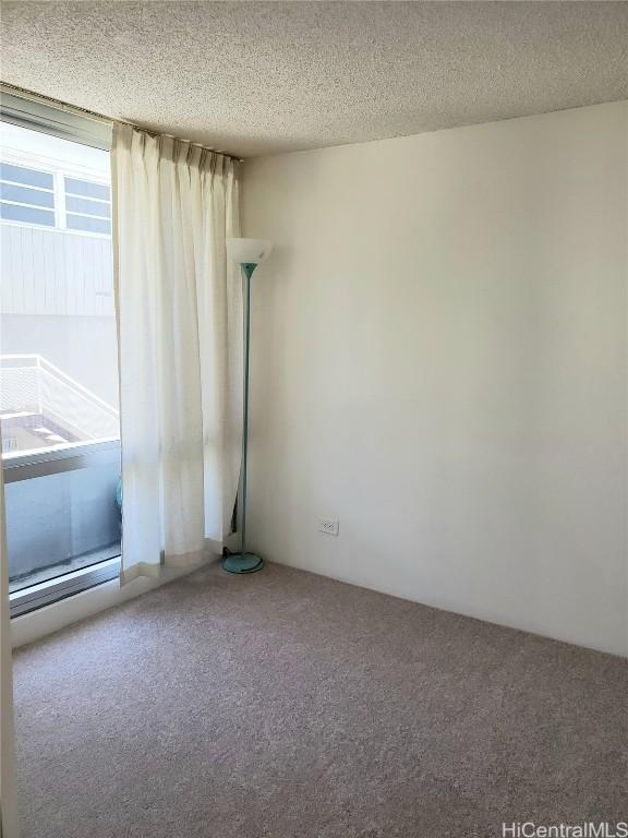 spare room featuring carpet floors and a textured ceiling