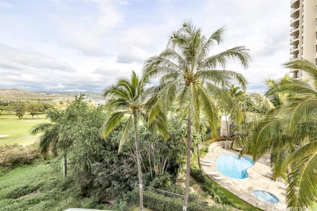 view of pool featuring a patio area