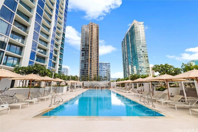 view of swimming pool with a patio