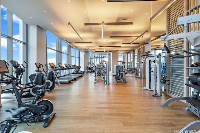 gym featuring expansive windows and light hardwood / wood-style floors