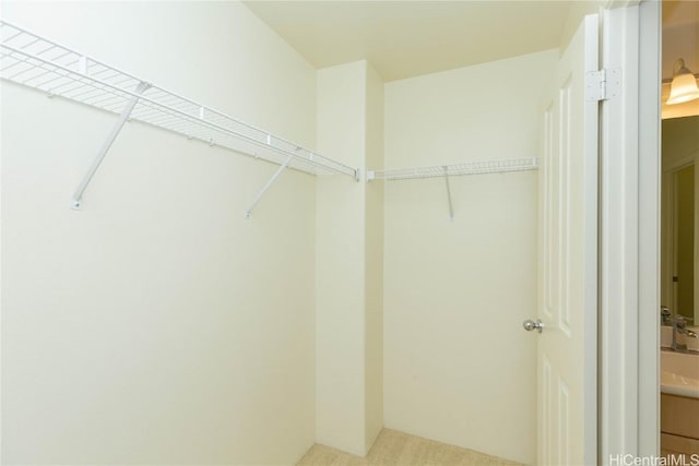 view of walk in closet