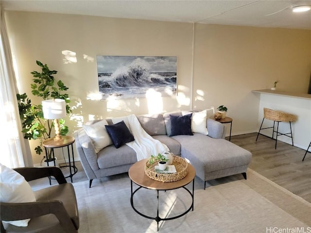 living room with hardwood / wood-style floors