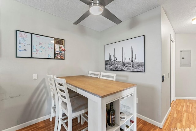 dining room featuring ceiling fan, electric panel, a textured ceiling, and light hardwood / wood-style flooring