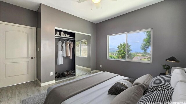 bedroom with ceiling fan, light hardwood / wood-style floors, and a closet