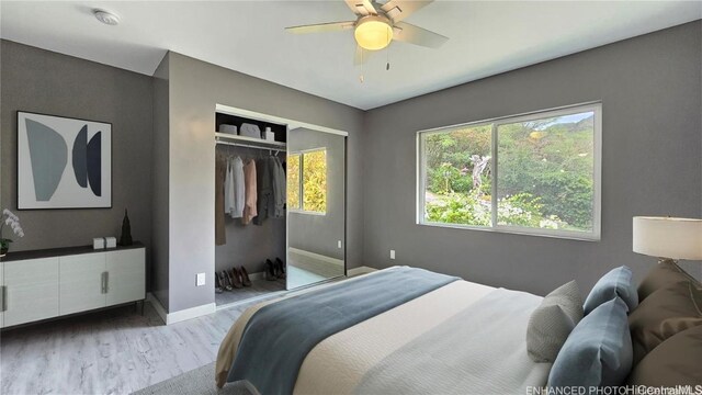 bedroom featuring ceiling fan, a closet, and light wood-type flooring