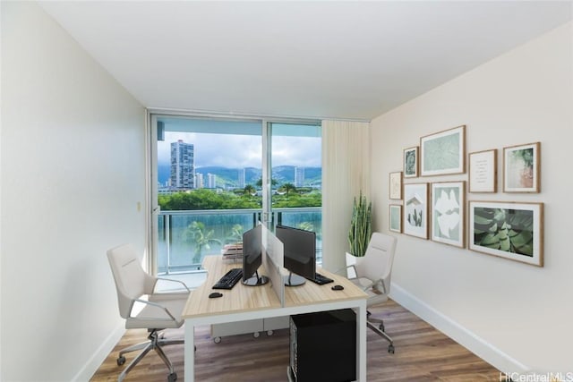 office featuring expansive windows and hardwood / wood-style flooring