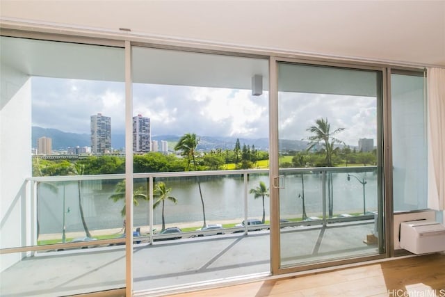 entryway featuring a water view and a healthy amount of sunlight