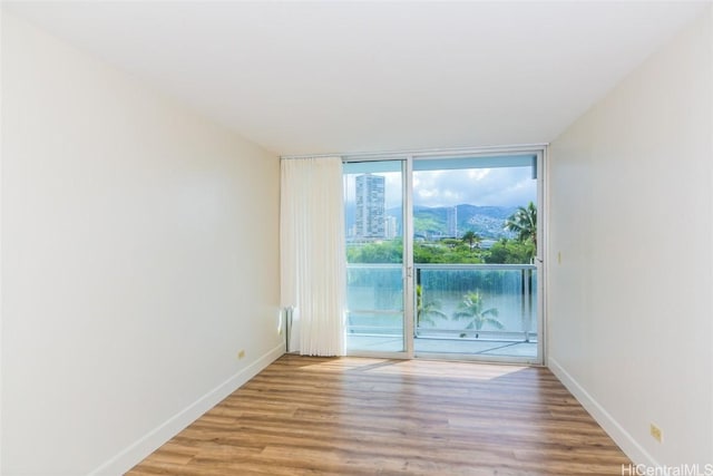 spare room with expansive windows and light wood-type flooring