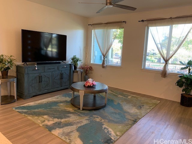 living room with ceiling fan and wood-type flooring