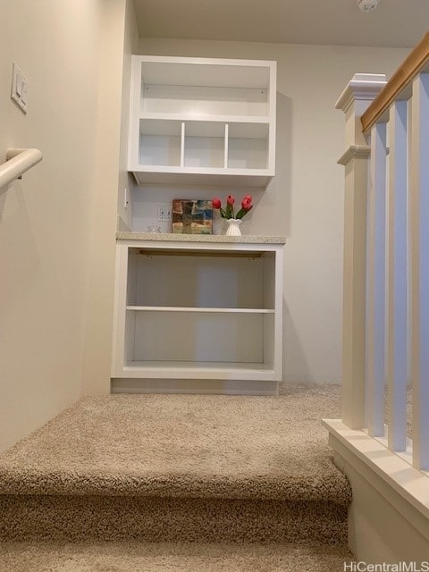 spacious closet featuring carpet