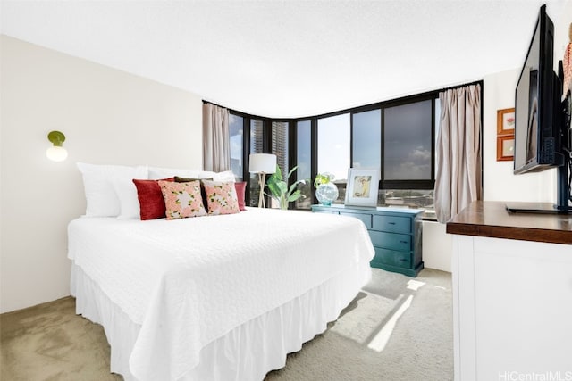 bedroom with light colored carpet