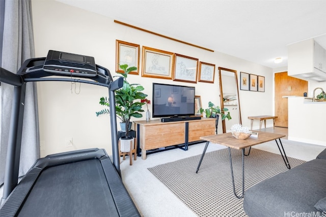 exercise room with light carpet and sink