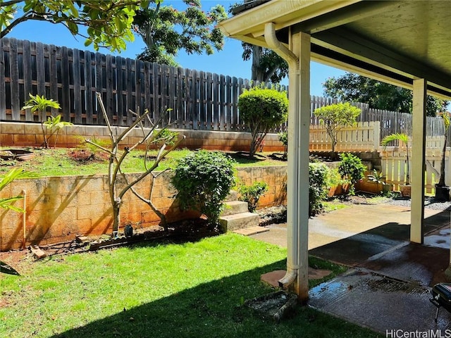 view of yard featuring a patio