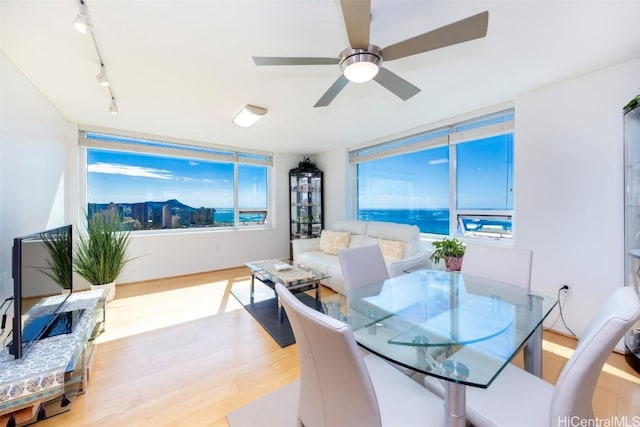 dining room with light hardwood / wood-style flooring and ceiling fan