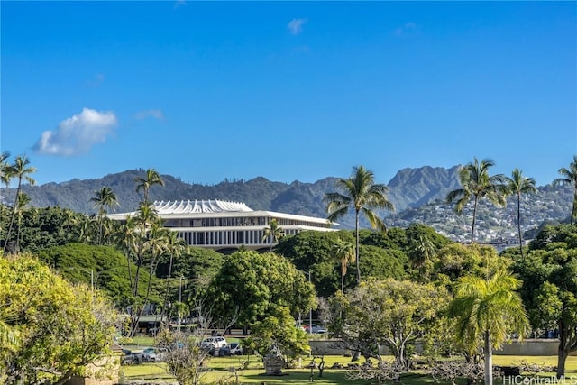 545 Queen St Unit 334, Honolulu, HI 96813 - photo 18