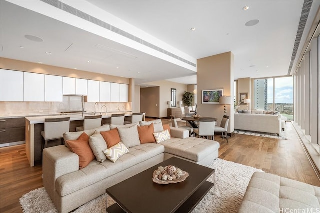 living room featuring expansive windows and light hardwood / wood-style flooring