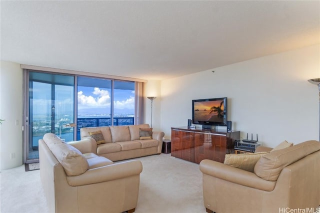 carpeted living room with expansive windows