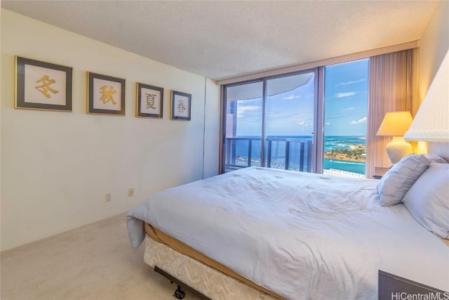 carpeted bedroom with a water view, access to exterior, and a textured ceiling