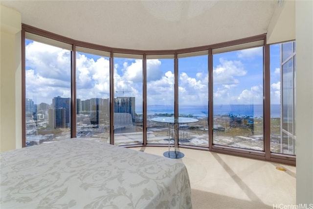 carpeted bedroom with expansive windows and a water view