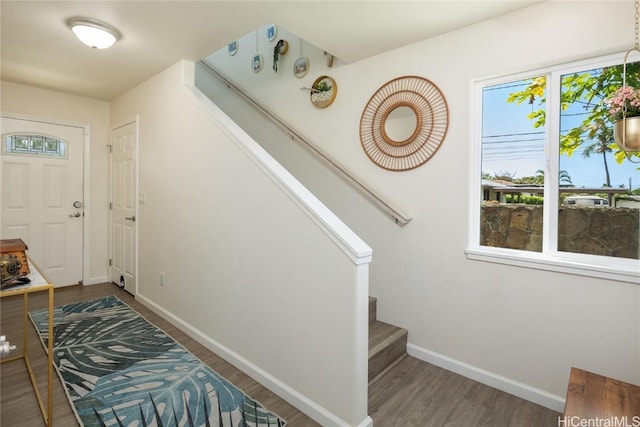 foyer entrance featuring dark hardwood / wood-style floors