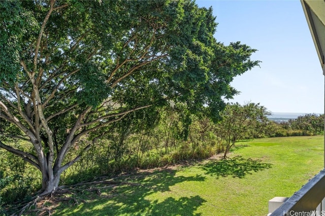 view of yard featuring a water view