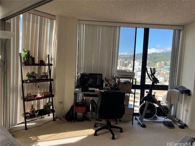 carpeted office with a textured ceiling and a wall of windows