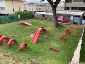 view of jungle gym