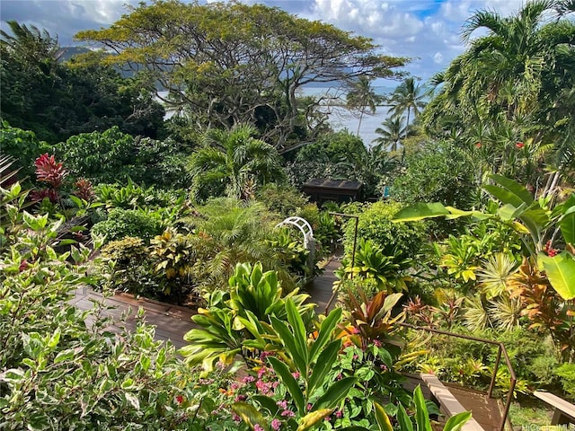 47-505 Lulani St, Kaneohe, HI 96744 - view of nature