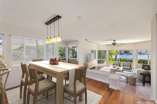 dining space featuring ceiling fan and dark hardwood / wood-style flooring