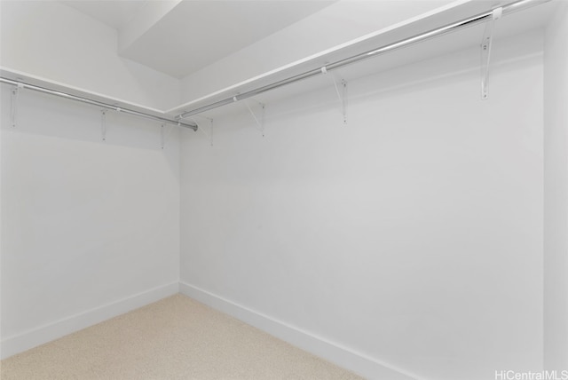 spacious closet with carpet