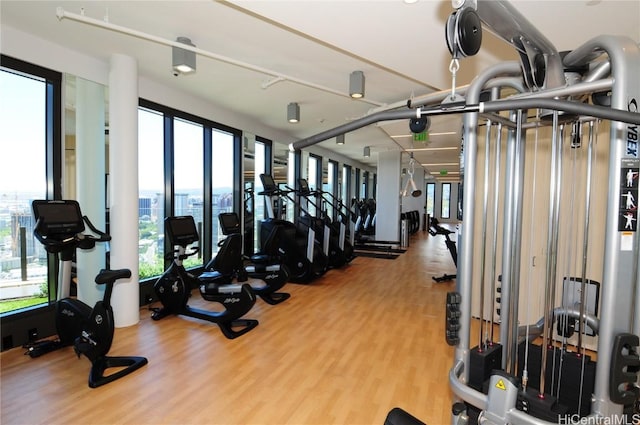 workout area featuring hardwood / wood-style flooring and plenty of natural light