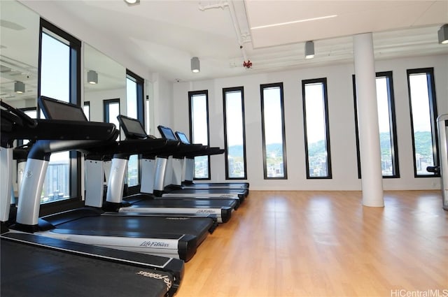 workout area featuring plenty of natural light, light hardwood / wood-style floors, and decorative columns