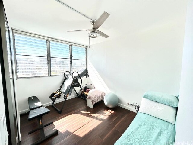 exercise area featuring dark hardwood / wood-style floors and ceiling fan