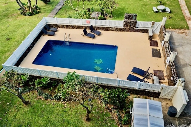 view of pool featuring a patio area and a lawn