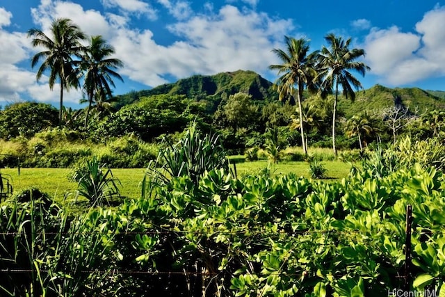 view of mountain feature