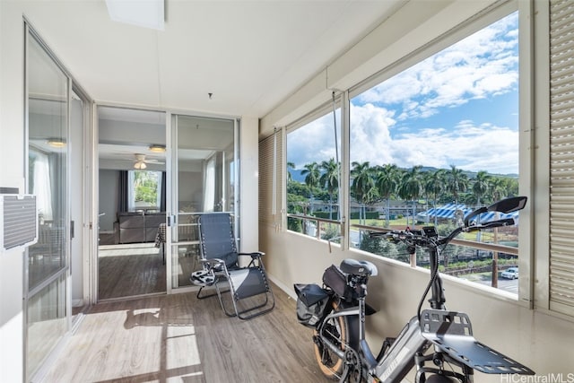 workout room with wood-type flooring and ceiling fan