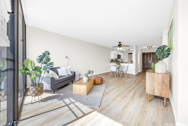 living room featuring ceiling fan and light hardwood / wood-style floors