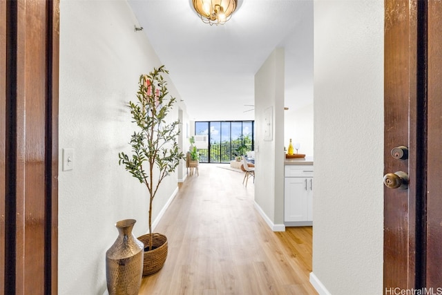 hall with expansive windows, light wood-type flooring, and baseboards