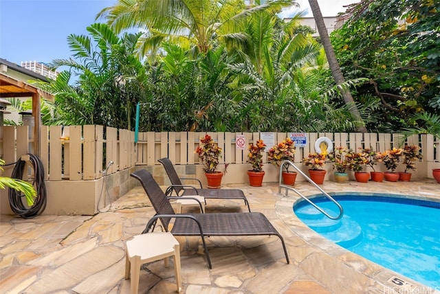 view of pool featuring a patio area