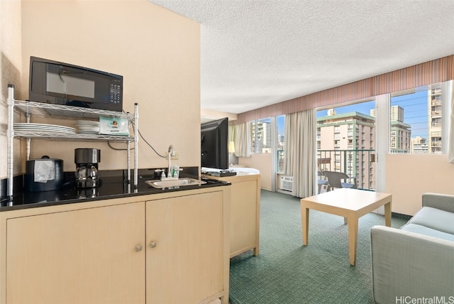 kitchen featuring sink, a textured ceiling, and carpet flooring