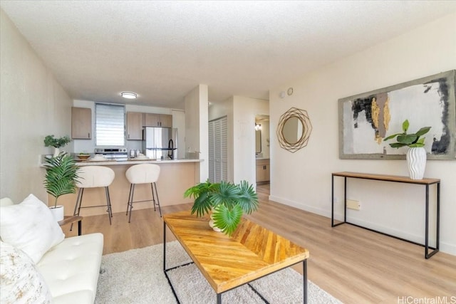 living room with light hardwood / wood-style floors and a textured ceiling