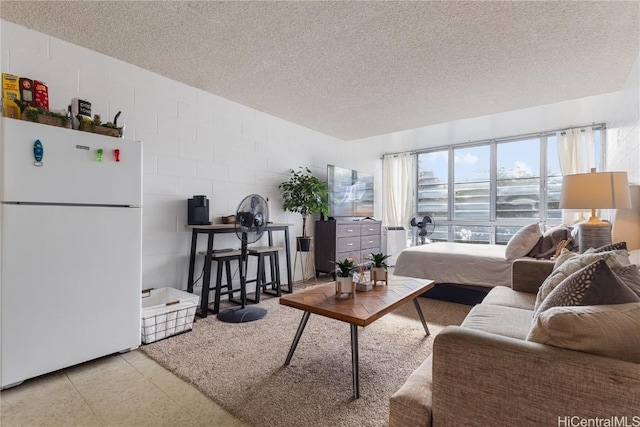 living room featuring a textured ceiling