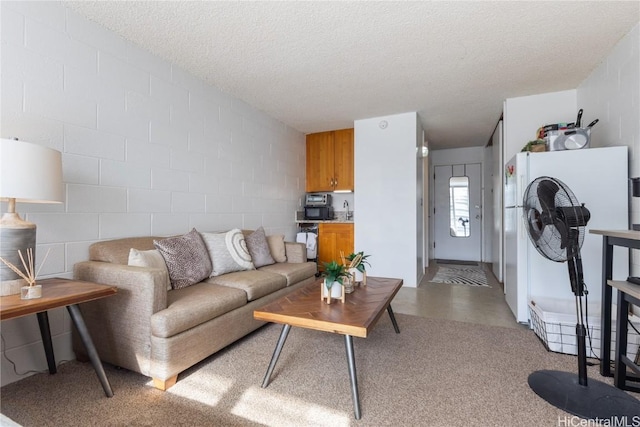 living room featuring sink and a textured ceiling